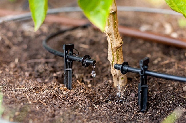 💧🌿 Guía de Goteros de Riego 2024 ¿cuál usar?