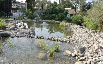 CREACIÓN Y CONSTRUCCIÓN DE ESTANQUES NATURALES Y PISCINAS NATURALES QUE NO NECESITAN MANTENIMIENTO DE PRODUCTO